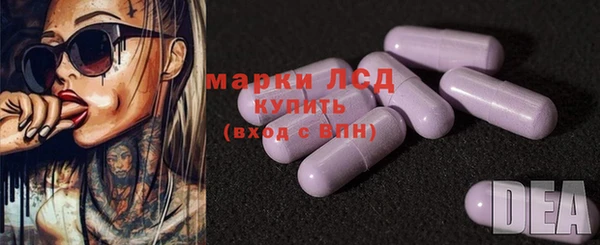 гашик Коряжма