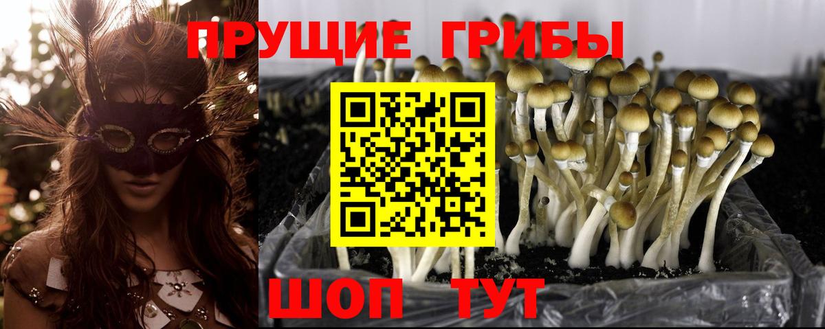 Галлюциногенные грибы мухоморы Котлас