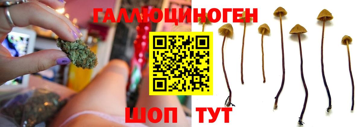 Котлас  Галлюциногенные грибы Magic Shrooms  где найти   Галлюциногенные грибы Magic Shrooms  Вход с VPN 