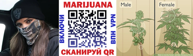 Марихуана LSD WEED Котлас